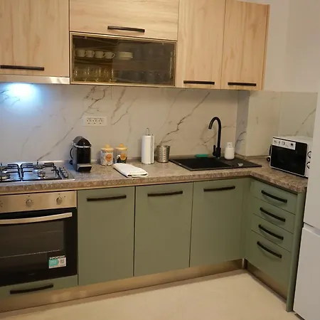 아파트 Spacious 3br, 3bt Design Renovated 부쿠레슈티