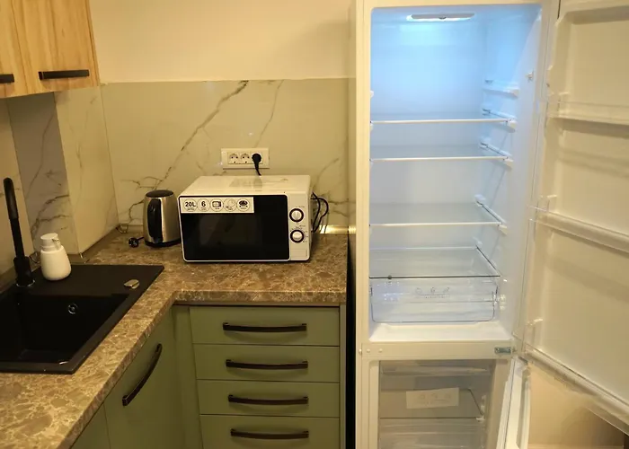 Spacious 3br, 3bt Design Renovated 公寓 布加勒斯特